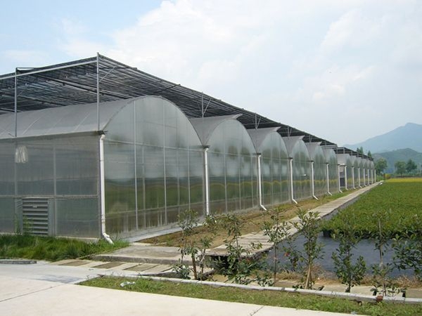 陽(yáng)光板溫室 (6)