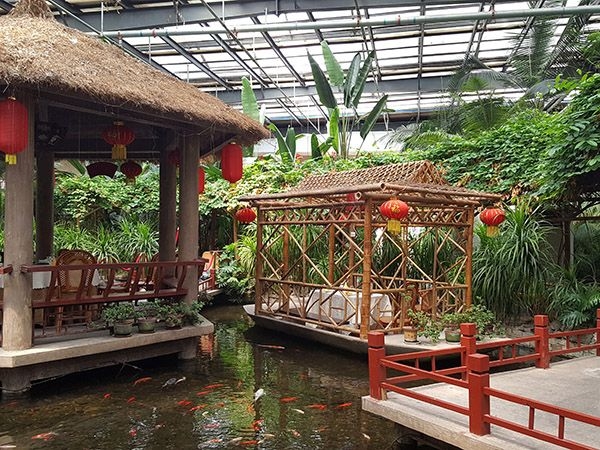 生態(tài)餐廳 (12)