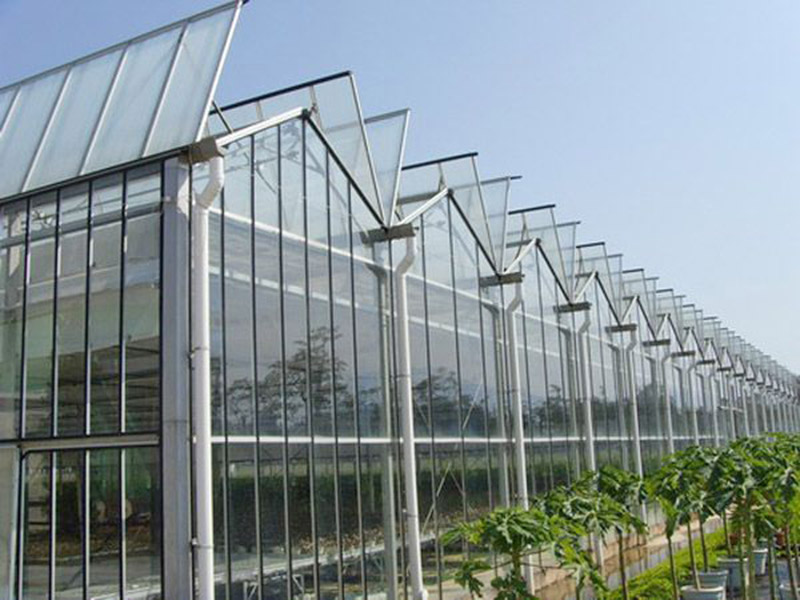 溫室建造