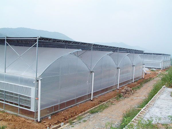 溫室建造